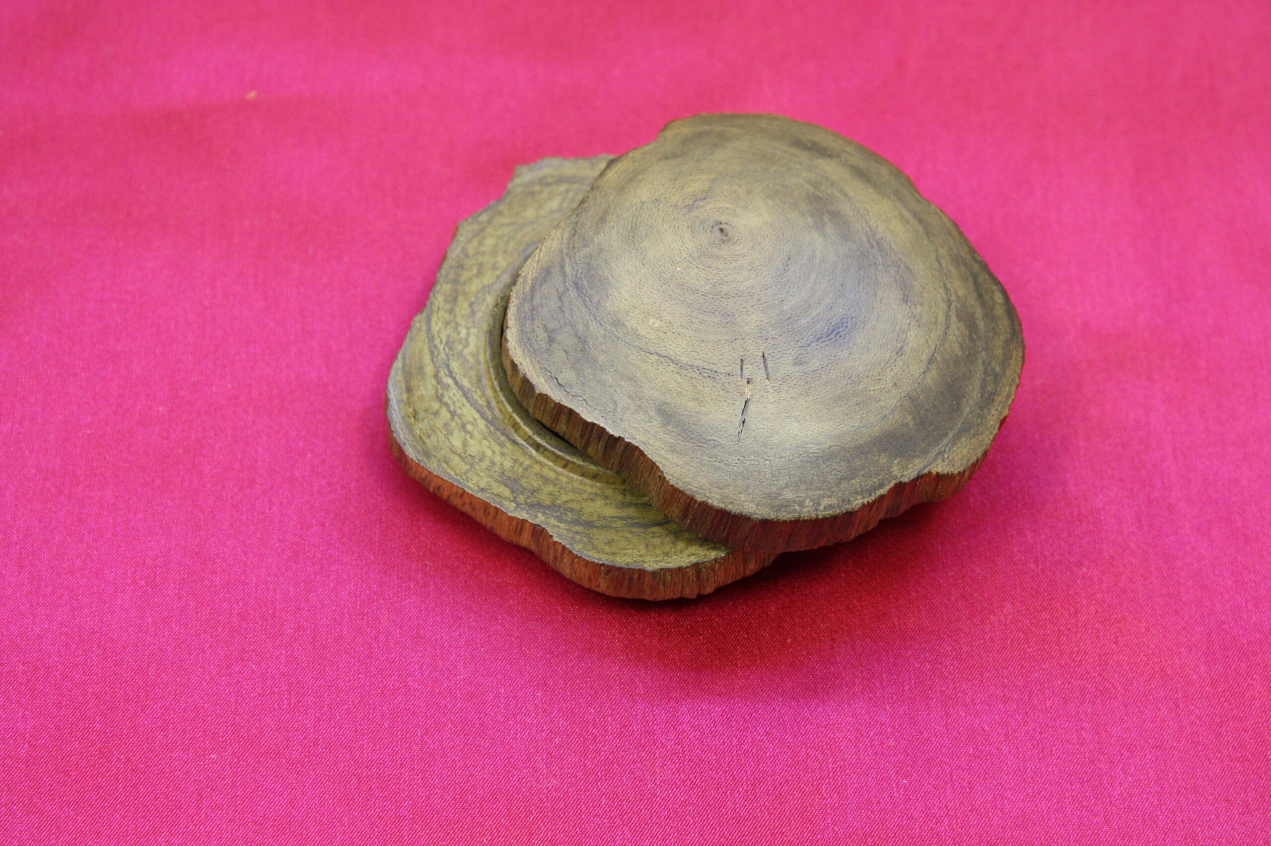 特：沈香　香合　原木調